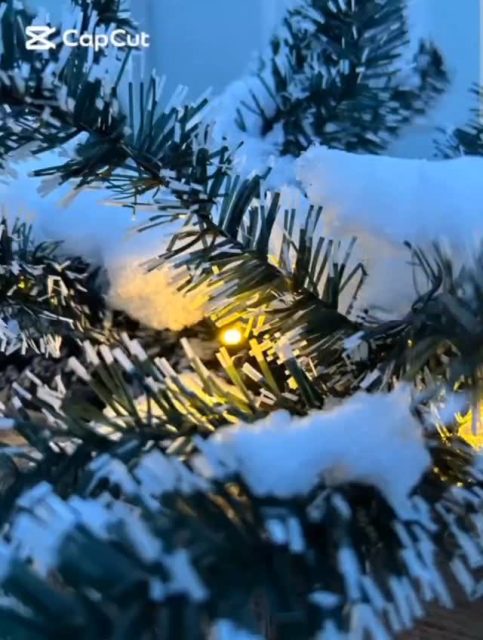 ✨ Рождественский дворик состоялся!
9 января наш дворик наполнился светом, детским смехом и настоящей рождественской радостью.
Родители и дети воскресной школы собрались вместе, чтобы разделить тёплую атмосферу ожидания Рождества Христова.
🎄 Праздничные украшения создали ощущение сказки,
🎶 звучали рождественские песни, согревая сердца,
🎨 дети с радостью участвовали в мастер-классе и делились своим творчеством,
☕ за чашкой чая и кофе было много искреннего общения и улыбок.
Этот вечер стал напоминанием о самом главном — о любви, единстве и свете, с которым Христос приходит в наш мир 💫
🙏 Благодарим всех родителей, детей и помощников за участие, тепло и вклад в создание этого праздника.
Пусть рождественская радость ещё долго живёт в наших сердцах!
🙏Слава Богу за всё!