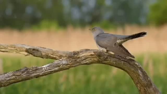 Доброе утро! Всем прекрасной недели!🤗
👩‍💼Муз.руководитель- Маринова Надежда Николаевна 
👭Исполнители- хор воскресной школы храма Казанской иконы Божьей Матери.